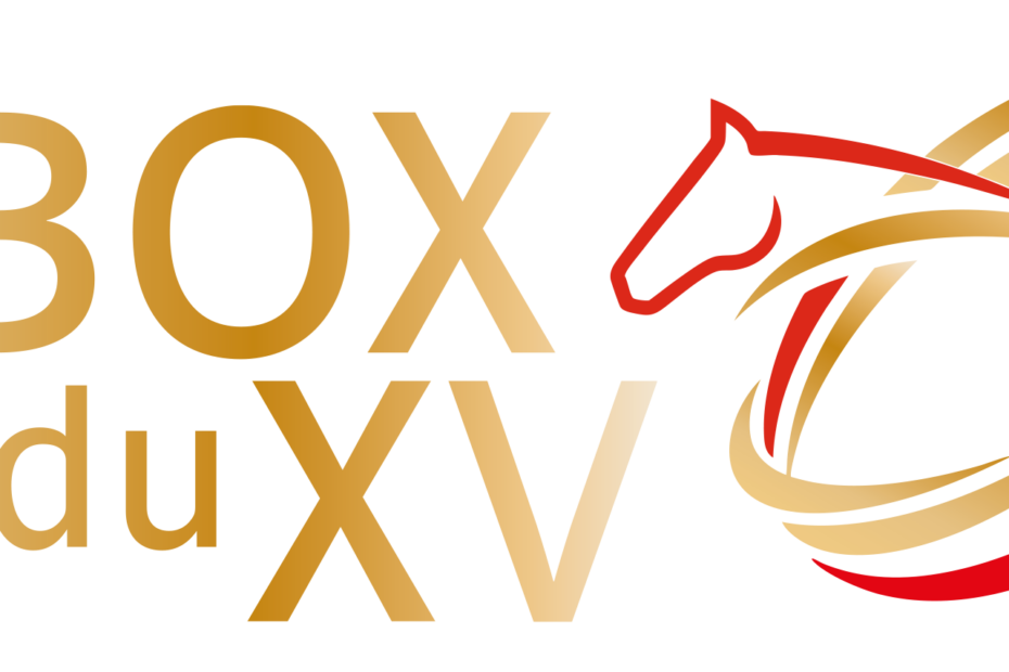 Le BOX du XV