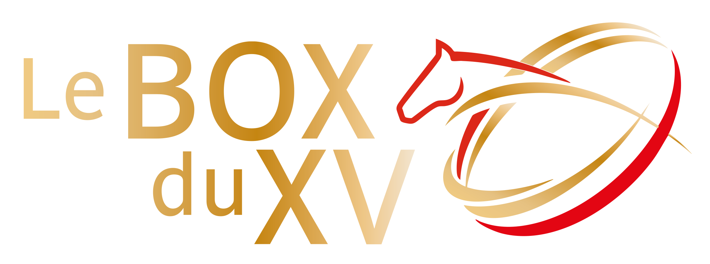 Le BOX du XV
